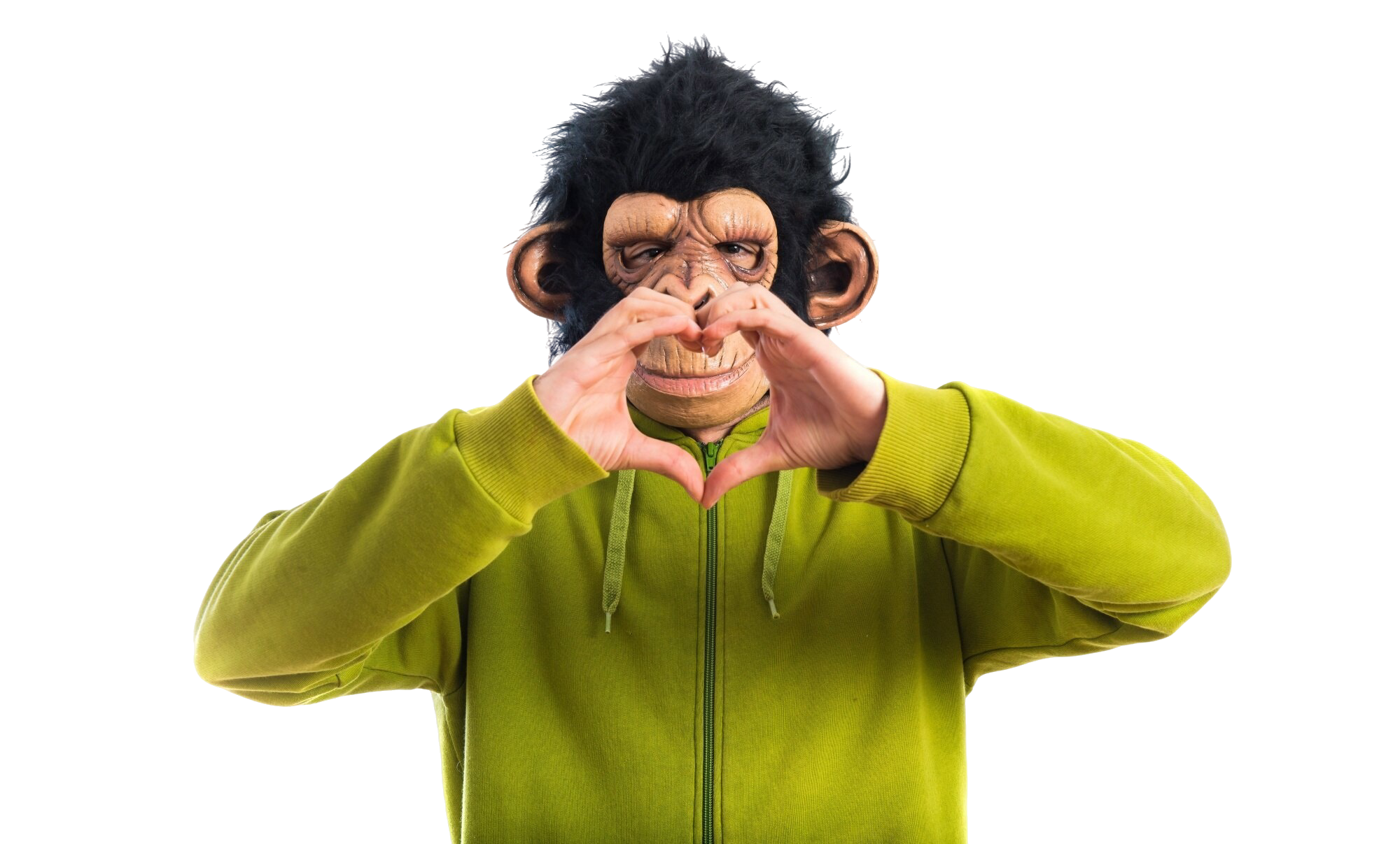 Equipo Domino Estudio